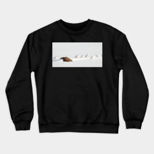 Ptarmigans, Churchill, Canada Crewneck Sweatshirt